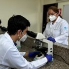 Cátedra. Estudiantes y docentes investigan en laboratorios universitarios el genoma materno y el de plantas.
