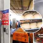 En los locales se encontraron plagas