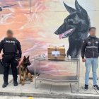 Operativo. En el operativo se encontró la droga camuflada en paquetes.