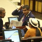 96 de los 137 asambleístas buscarán la reelección en 2025.