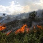 Uno de los incendios forestales que afectaron este 2024, a Colombia. El de la foto corresponde al de Medellín, en febrero pasado.