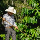 ONG se dedica a mejorar la producción de los pueblos indígenas.