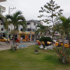 Vista. Embellecen el área urbana con plantas maderables.