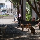 En uno de los accesos a El Chaquiñán hay seguridad privada.