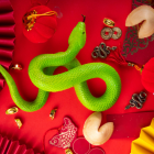 El 2025 es el año de la serpiente de madera.