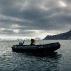 La ONG se dedica a la conservación y protección de la fauna marina