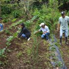 Labor. Lucila se esfuerza con la esperanza de que migrantes regresen.