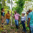 Vista. Caimito es un rincón mágico en el sur de Esmeraldas, donde sus guías cuentan historia y tradiciones.