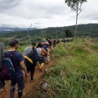 Panamá cerró el paso por la selva del Darién.