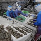 Empresa. Los insumos para elaborar los empaques que usan las camaroneras para exportar sus productos son importados.