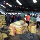 Los migrantes extranjeros son empleados en las plazas del cantón Salcedo.