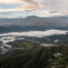 El Parque Nacional Los Llanganates tiene una extensión de más de 200 mil hectáreas.