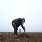 California. Un trabajador indocumentado de Honduras excava con una pala en un campo de melones.