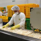 Empresa. Una agroindustria de Perú procesa dando valor agregado a los espárragos para exportarlos.