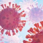 Referencial. El HMPV es un agente viral que está alertando a la comunidad sanitaria ante un notable aumento de casos en China.