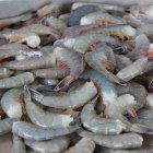 Producto. El camarón es uno de los principales alimentos que Ecuador exporta a Estados Unidos.