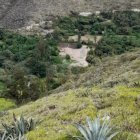 Uravía. Conocido por su extensa vegetación y tranquilidad.