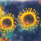 Referencial. El HMPV es un virus que ha afectado principalmente a niños y adultos mayores en China.