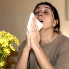 Un simulador de estornudos revela el papel de la cavidad nasal en la difusión de aerosoles