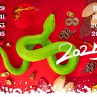 La serpiente de madera.