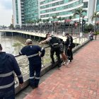 Trabajadores del sector alertaron a la Policía Nacional del hallazgo