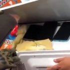 Policía incauta celulares y sustancias ilícitas en operativo en cárcel de Pichincha N° 3"