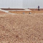 Este 21 de enero de 2024, los agricultores recibían $ 475 por saca.