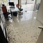 La época lluviosa trae consigo la reaparición de grillos-