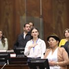 La asambleísta Ana Galarza en sesión del Pleno de la Asamblea Nacional.