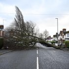 Belfast. Un árbol caído en una calle de la capital de Irlanda del Norte.