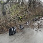 La borrasca Éowyn ha dejado en Escocia 100.000 hogares sin electricidad, el 92 % de las escuelas cerradas y múltiples servicios médicos no urgentes cancelados.