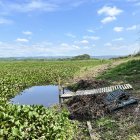 Destruido. Antes, en esta zona, los visitantes realizaban actividades acuáticas, como canotaje, kayak, paddle y tabla a vela. Ahora es imposible. Allí habitan peces como: tilapia, bocachico.