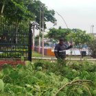 En el Parque Puerto Liza han empezado a retirar la maleza que, en algunos casos, superaba el metro y medio de altura.