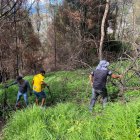 En El Panecillo se limpiaron grandes terrenos y se hizo el mantenimiento de árboles plantados.