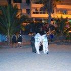 El teniente coronel de la CTE en Salinas, Ronald Patricio Gancino Chávez, fue asesinado en la playa de Chipipe, uno de los puntos turísticos del cantón.