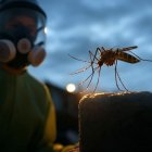 Ilustración referencial. Se realizarán labores de fumigación contra mosquitos en Guayaquil.