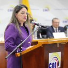 La vocal del CNE, Elena Nájera, cuestiona a Enrique Pita sobre los supuestos expedientes.