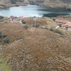Hecho. Tras el incendio de noviembre pasado mucha vegetación quedó afectada.