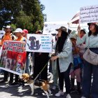 En Quito animalistas y ciudadanía realizaron una marcha para exigir que se archive el proyecto del ley LODA