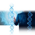 Un grupo de científicos de la Universidad de Columbia crea una IA capaz de predecir el funcionamiento interno de las células.