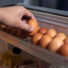 ¿Cuál es la mejor manera de conservar los huevos para su consumo?
