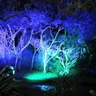 El Bosque de Luz es una instalación artística inmersiva con 17 estaciones de luces