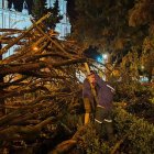 Un gran árbol se partió a la mitad y colapsó en el Parque Calderón, en el centro de Cuenca.