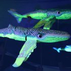 La obra se restrena el 14 y 15 de febrero en la capital