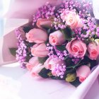 Conoce qué  flores regalar este San Valentín y su significado.