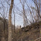 la minería ilegal y la contaminación por plásticos afectan la calidad del agua, poniendo en riesgo la salud de comunidades enteras.