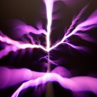 La muestra, que cuenta con componentes sonoros, se inauguró en la capital.