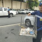 El rescate se dio a conocer este miércoles 12 de febrero.