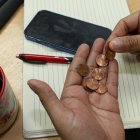 Monedas. Los centavos de dólar de Estados Unidos que circulan en Ecuador y que quizás desaparezcan.