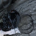 Hecho. El hallazgo se dio tras un control.